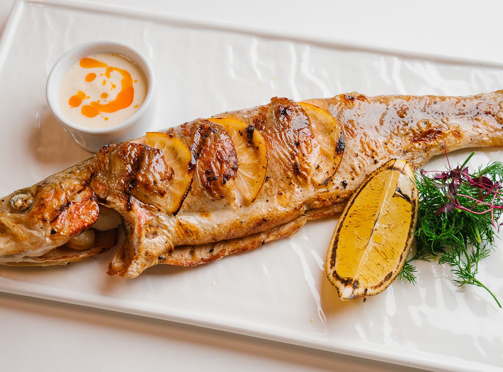 Розовая форель