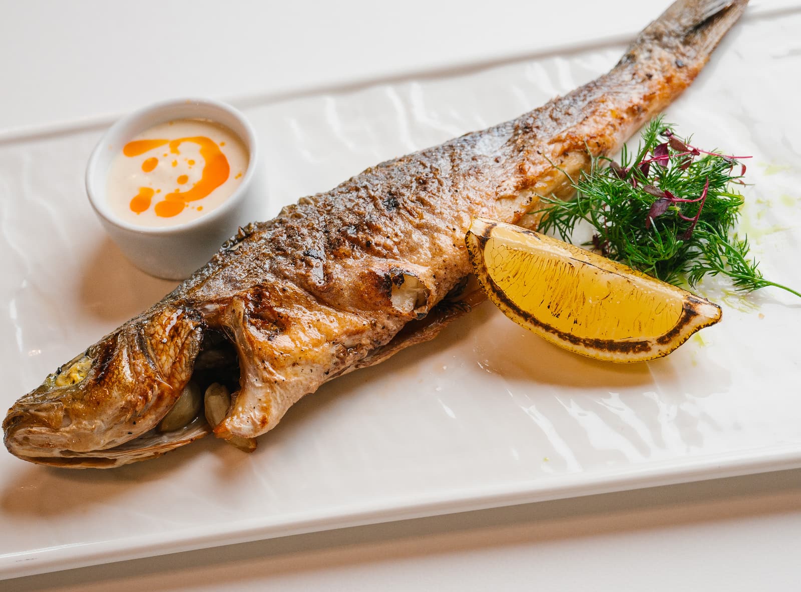 Дикий сибас